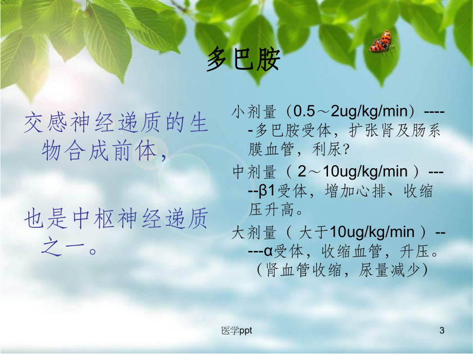 ICU常见药物的配置与注意事项课件.ppt_第3页