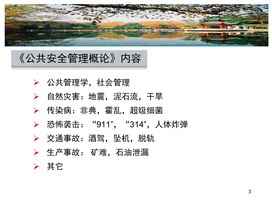 (医学)公共安全管理绪论教学课件.ppt_第3页