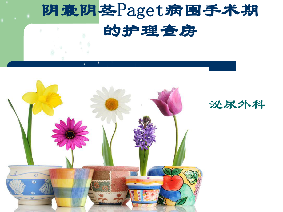 Paget病围手术期护理查房课件.ppt_第1页