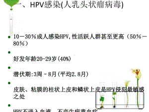 HPV感染与宫颈癌宣传课件.pptx