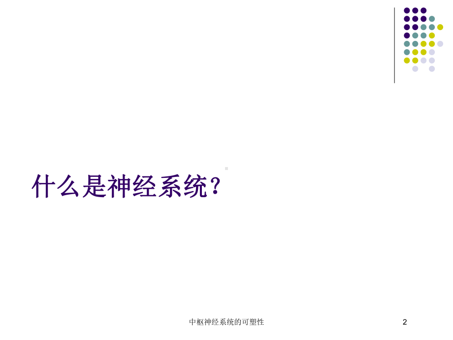 中枢神经系统的可塑性培训课件.ppt_第2页