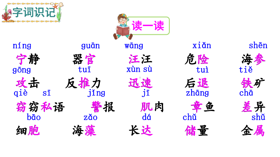 部编版三年级语文下册课件23-海底世界.ppt_第3页