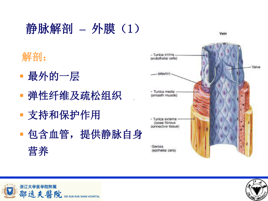 PICC导管相关性血栓形成及处理课件.ppt_第2页