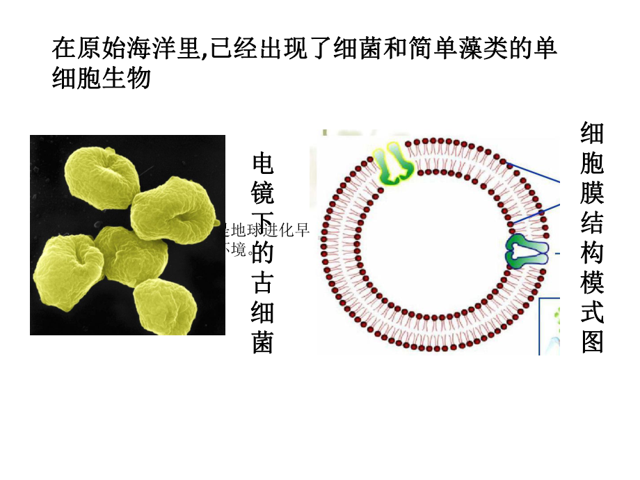 《细胞中的无机物》新教材1课件.pptx_第2页