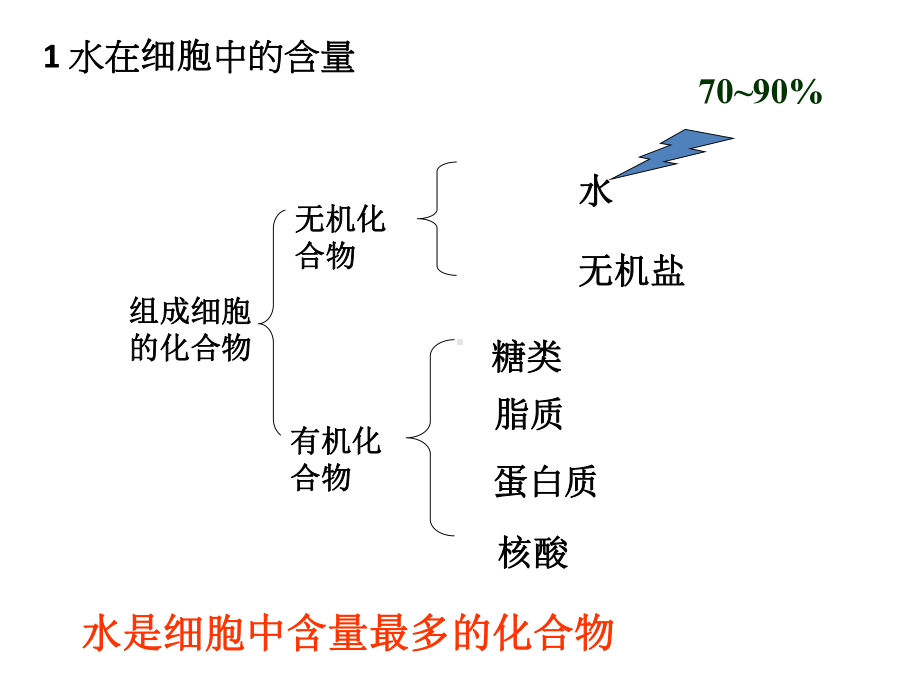 《细胞中的无机物》新教材1课件.pptx_第3页