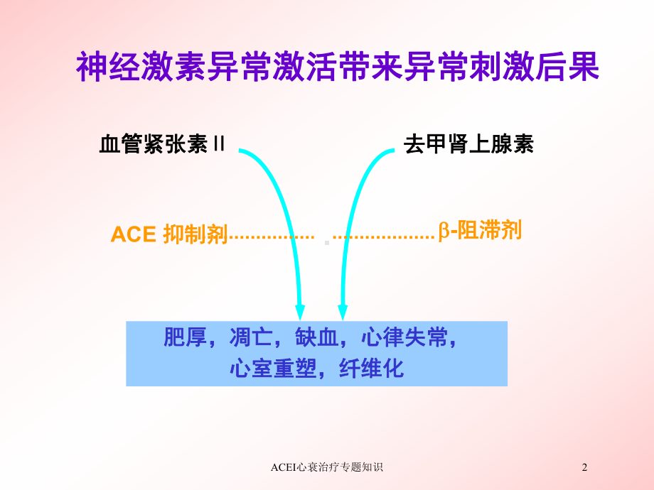 ACEI心衰治疗专题知识培训课件.ppt_第2页