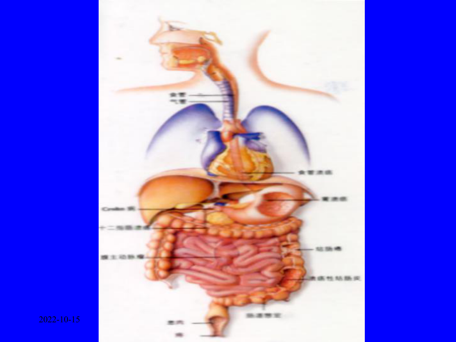 [医学]中医内科学课件23腹痛.ppt_第2页