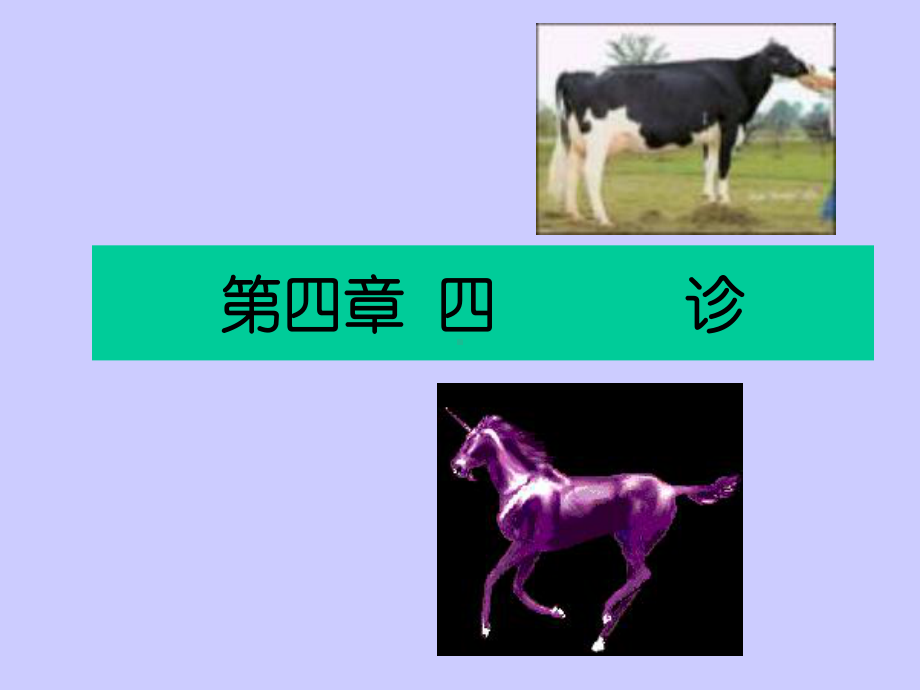 中兽医教学课件第5章-四--诊.ppt_第1页