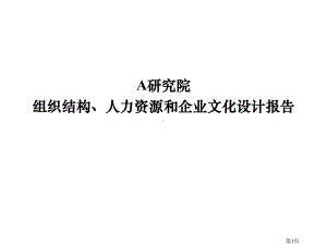 研究院组织结构、人力资源和企业文化设计报告课件.ppt