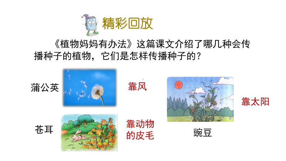 部编版语文二年级上册知识点专项复习课件.pptx_第2页