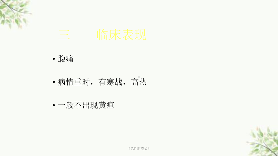 《急性胆囊炎》课件.ppt_第3页