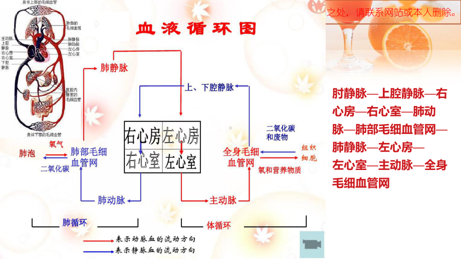 CT增强技术培训课件.ppt_第3页