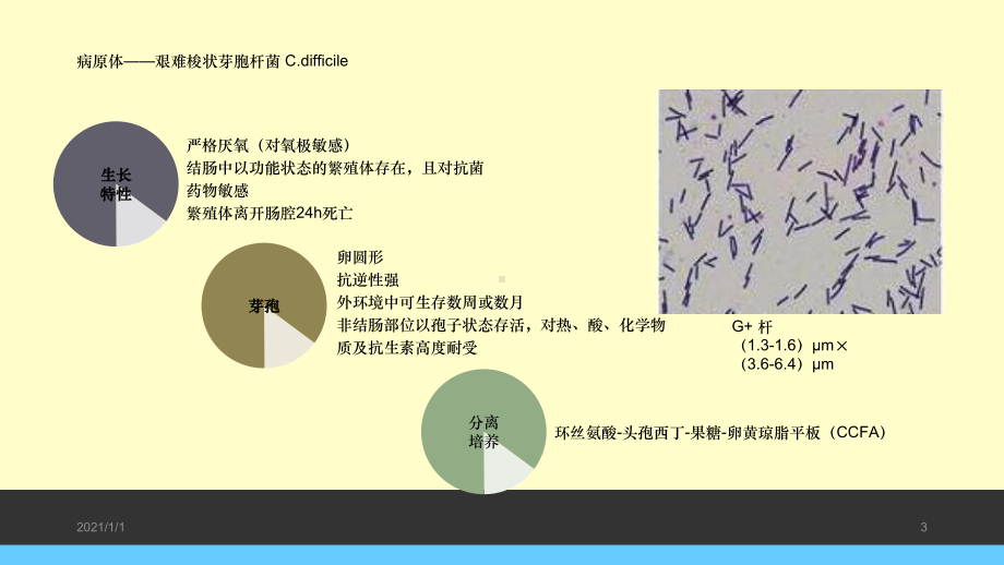 -艰难梭菌感染课件.ppt_第3页