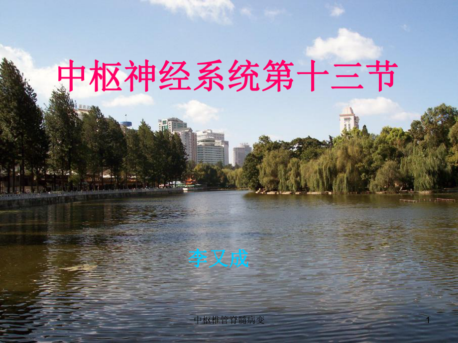 中枢椎管脊髓病变课件.ppt_第1页