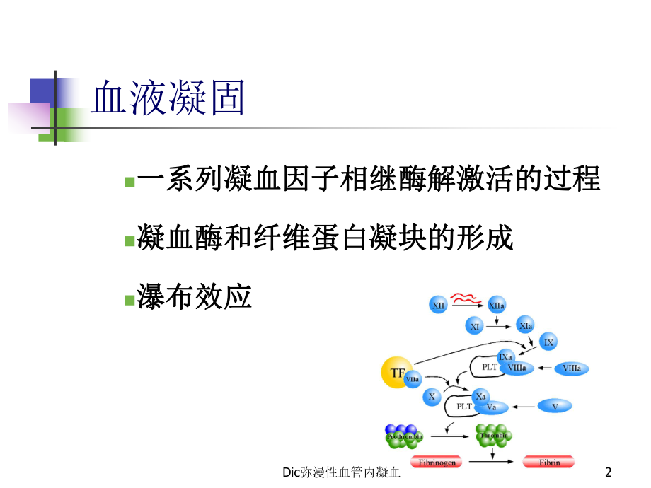 Dic弥漫性血管内凝血课件.ppt_第2页