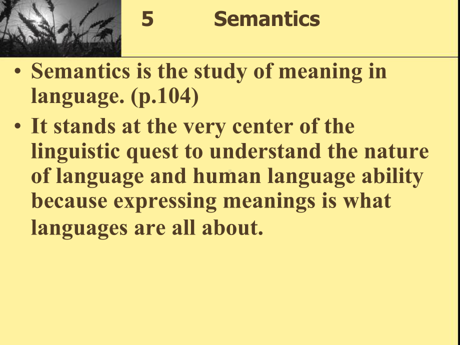 chapter-5-Semantics英语专业语言学课件.ppt_第1页