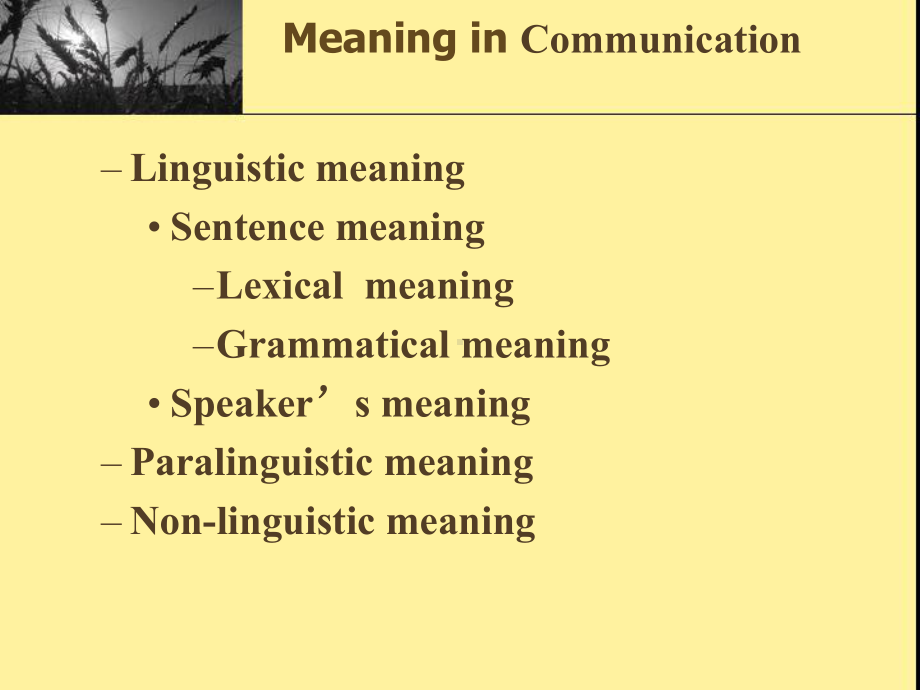 chapter-5-Semantics英语专业语言学课件.ppt_第2页