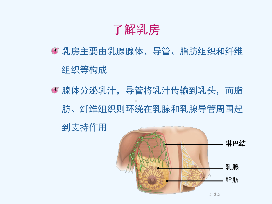 与乳腺癌的斗争开始了课件.ppt_第3页