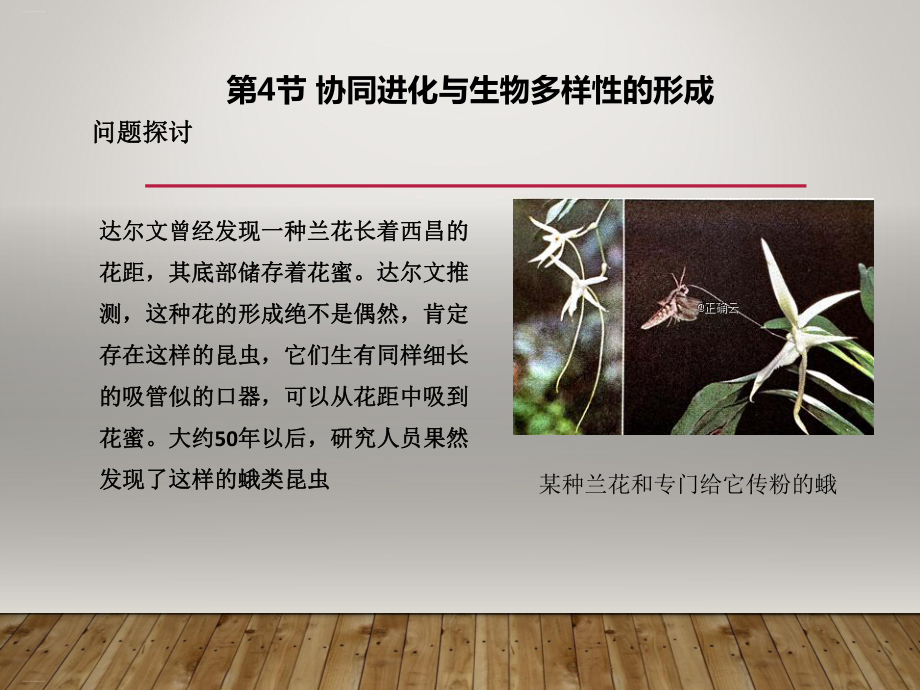 《协同进化与生物多样性的形成》课件1.ppt_第1页