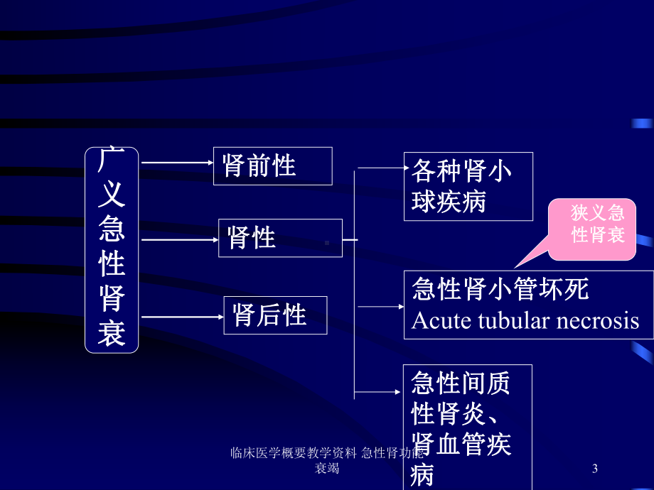 临床医学概要教学-急性肾功能衰竭课件.ppt_第3页