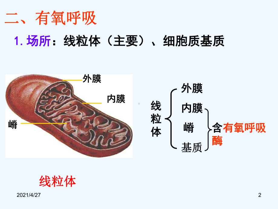 ATP的主要来源细胞呼吸peifeng课件.ppt_第2页