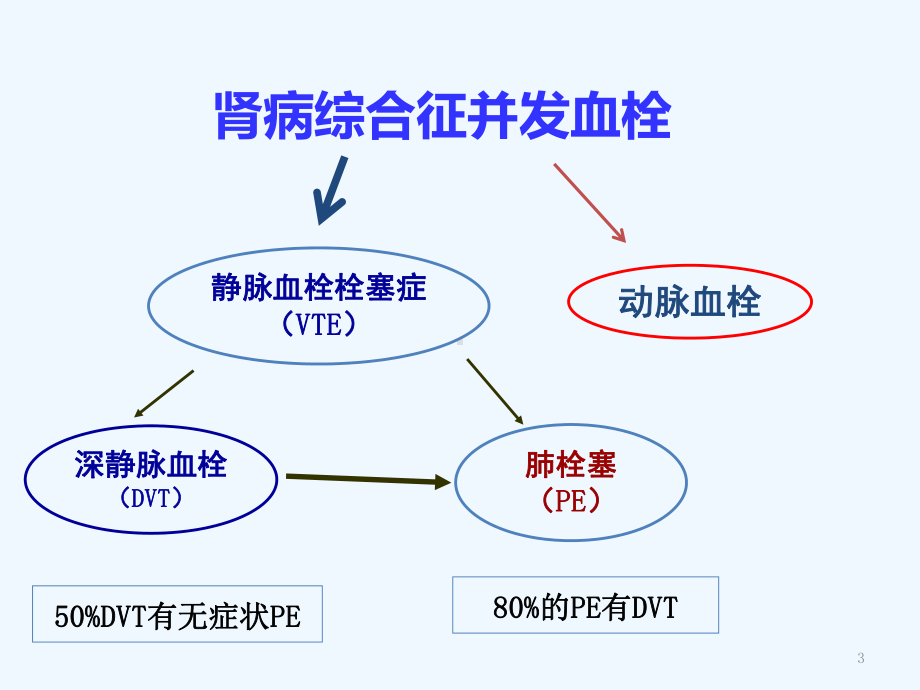 NS并发静脉血栓诊治策略课件.ppt_第3页