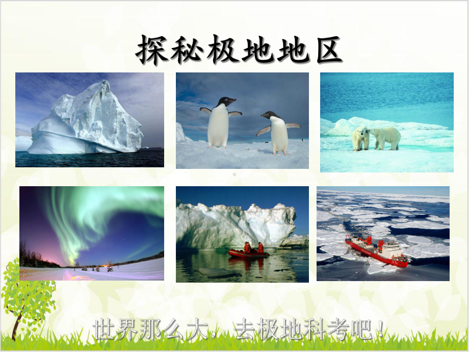 《极地地区》新教材课件.ppt_第1页