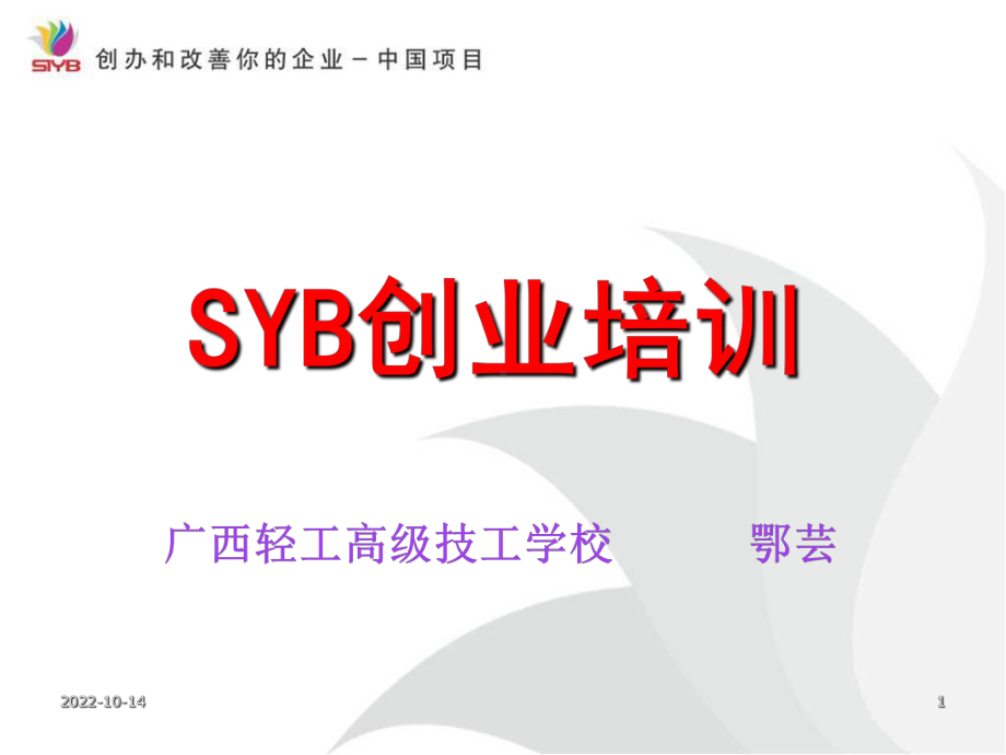 SYB第一步到十步(大学生版)课件.ppt_第1页