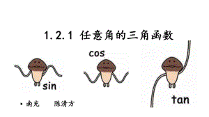 高中数学任意角的三角函数-优秀课件1.pptx