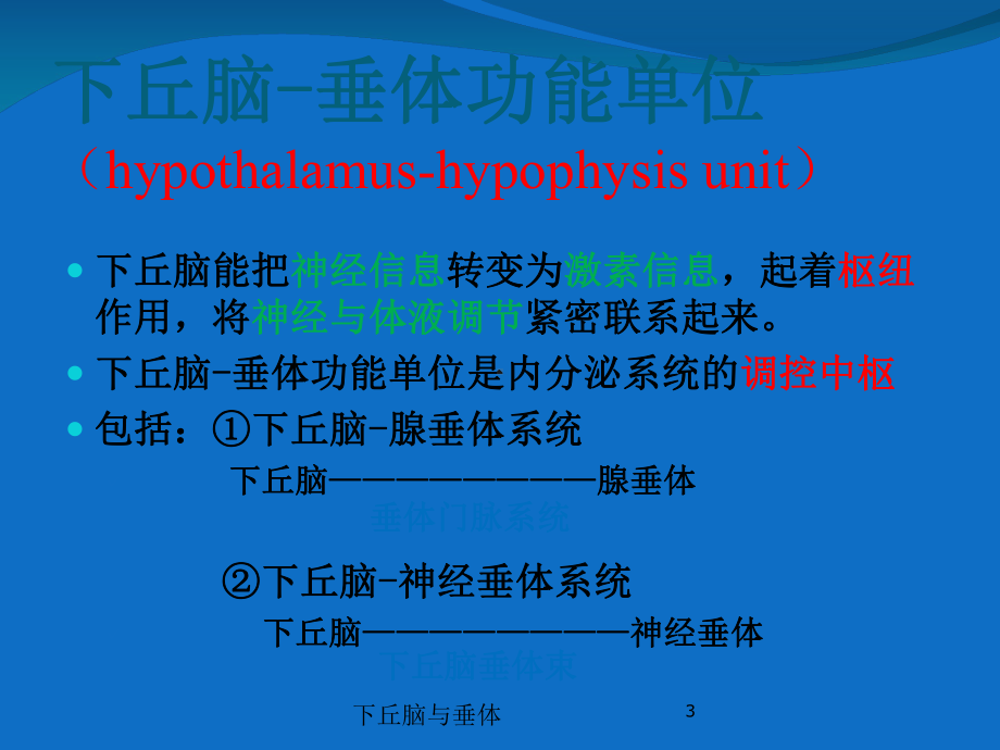 下丘脑与垂体培训课件.ppt_第3页