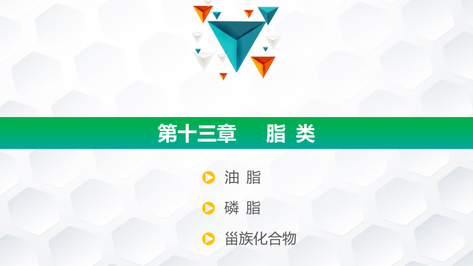 《医用化学》第十三章课件.pptx_第2页