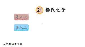 部编版五年级语文下册课件(精华版)21-杨氏之子.ppt