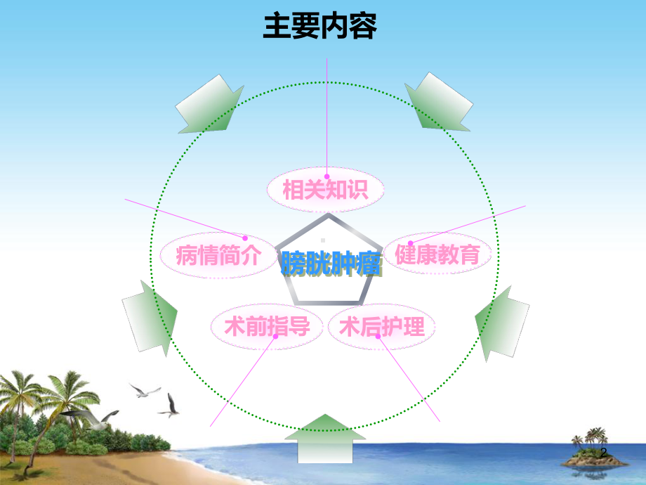 一例膀胱肿瘤电切术的护理查房课件.ppt_第2页