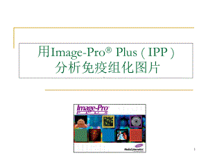 IPP分析免疫组化图片课件.ppt