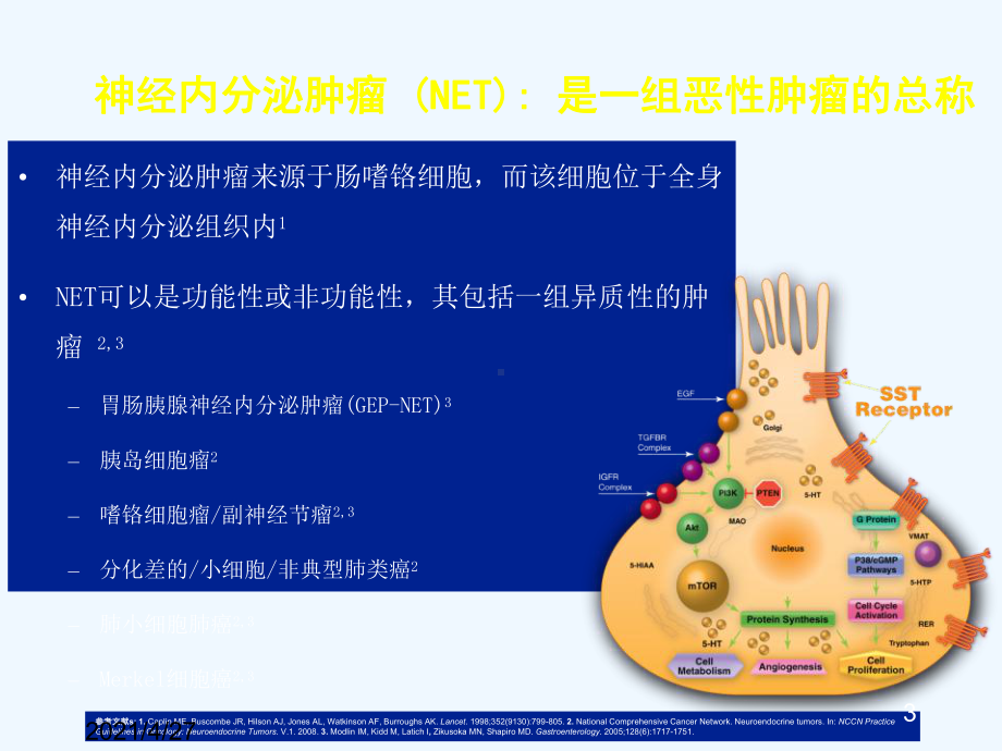 NET流行病学和病理共识课件.ppt_第3页