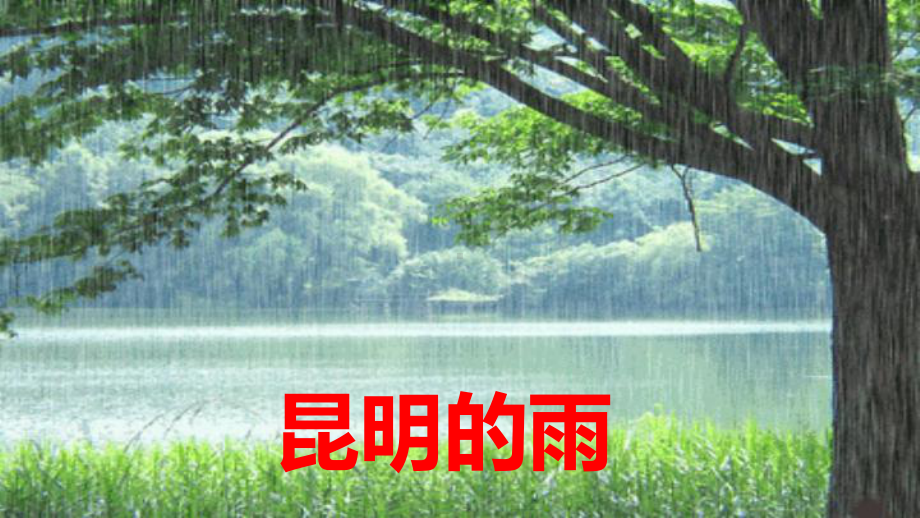 部编版八年级语文上册《昆明的雨》课件.pptx_第1页