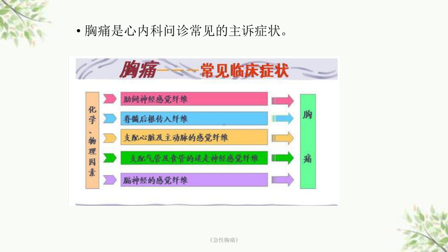 《急性胸痛》课件.ppt_第2页