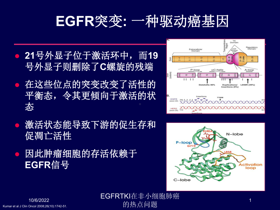 EGFRTKI在非小细胞肺癌的热点问题课件.ppt_第1页