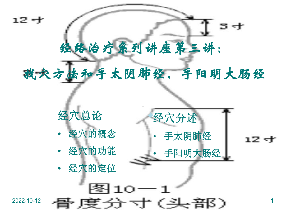 [中医中药]第三讲手太阴肺经-手阳明大肠经课件.ppt_第1页