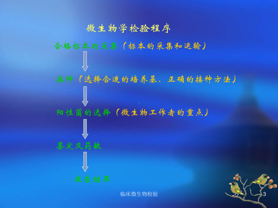 临床微生物检验课件.ppt_第3页