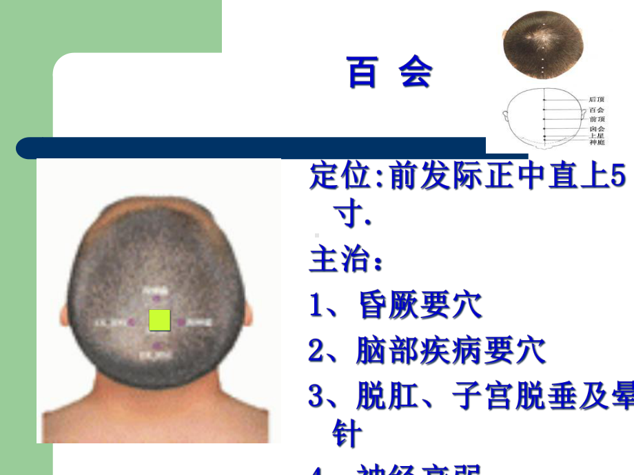 临床常用腧穴教材课件.ppt_第3页