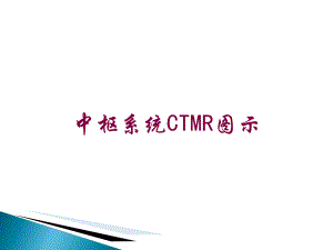 中枢系统CTMR图示培训课件.ppt