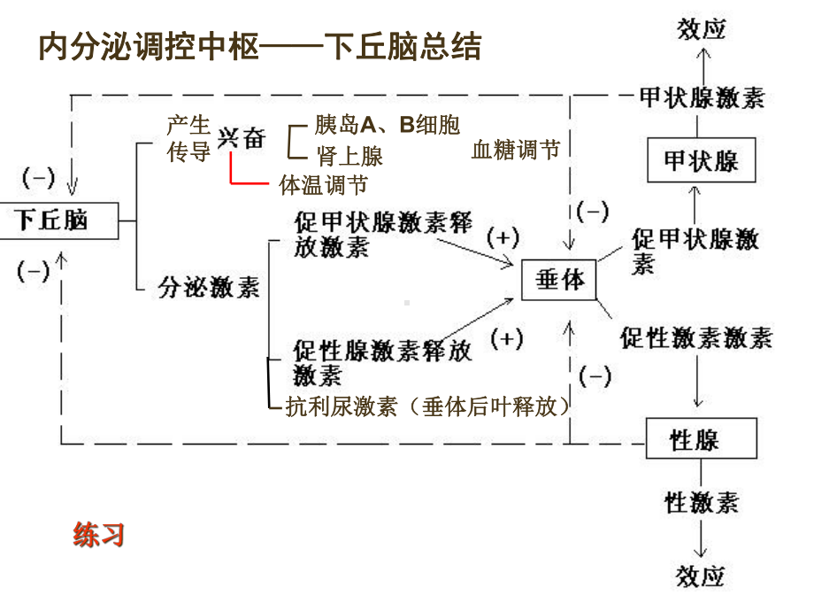 -高考-生物-专题复习-下丘脑在生命活动调节中的作用-答题分析课件.ppt_第2页