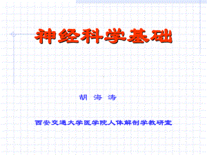 临床医学）05年神经科学基础：神经系统的个体发生和发育课件.ppt