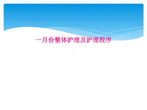 一月份整体护理及护理程序课件.ppt