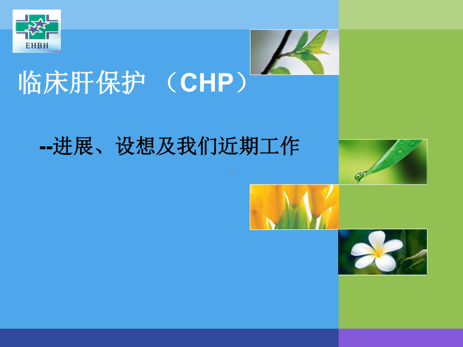 临床肝保护课件.ppt_第1页