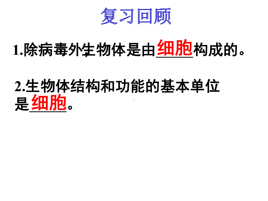 苏教版生物七年级上册41单细胞生物课件.pptx_第1页