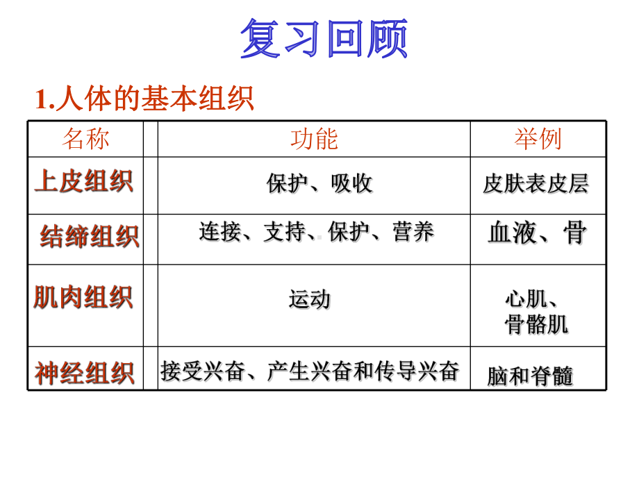 苏教版生物七年级上册41单细胞生物课件.pptx_第2页