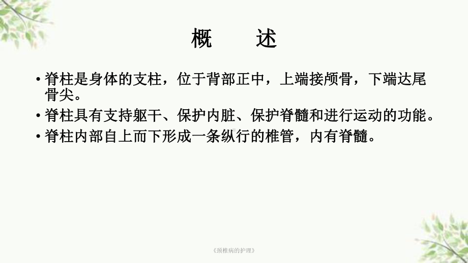 《颈椎病的护理》课件.ppt_第2页