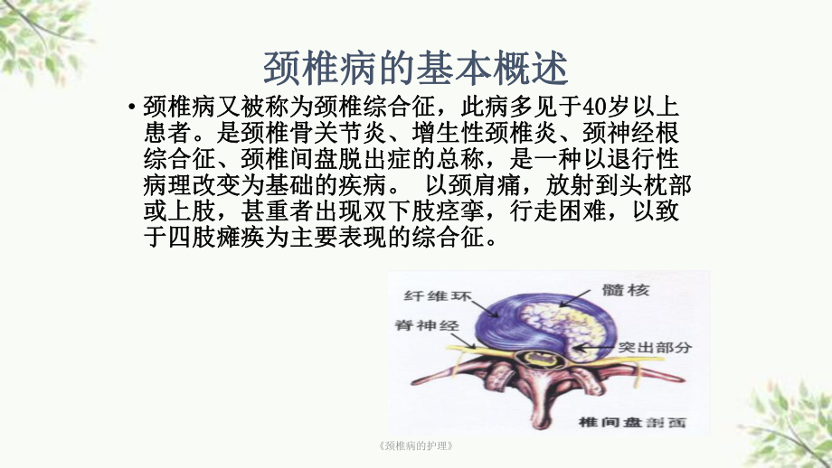 《颈椎病的护理》课件.ppt_第3页